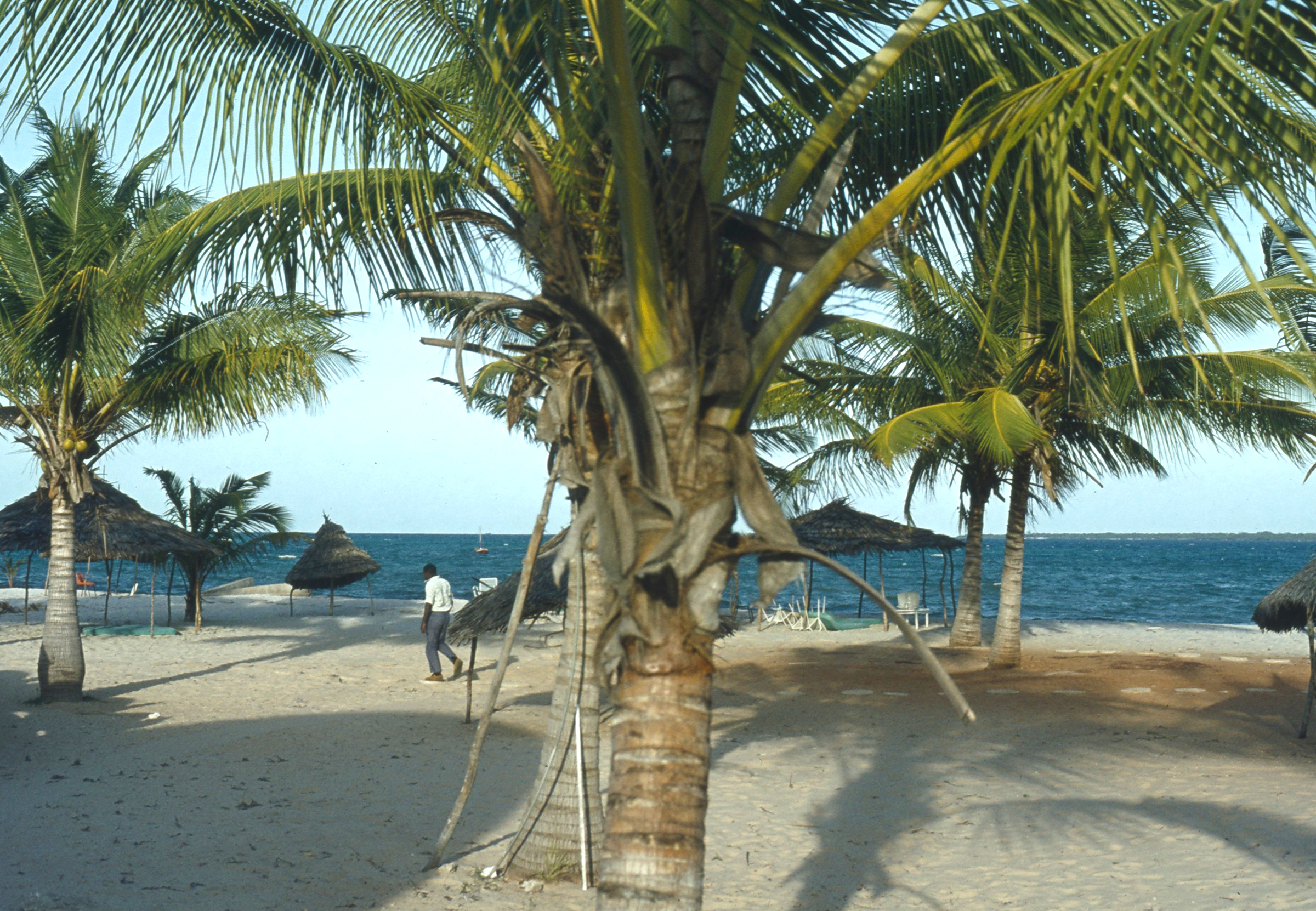 Socialist Beach Resort